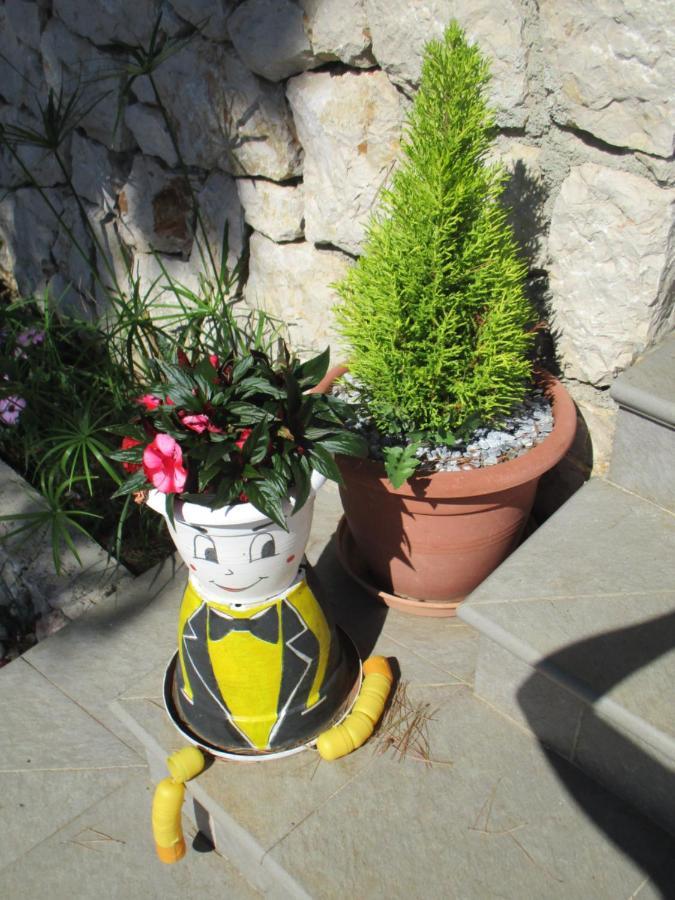 Sobe Bukaleta Loznati Bed and Breakfast Buitenkant foto